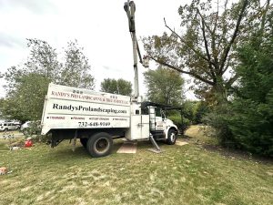 Tree Service Job in East Brunswick