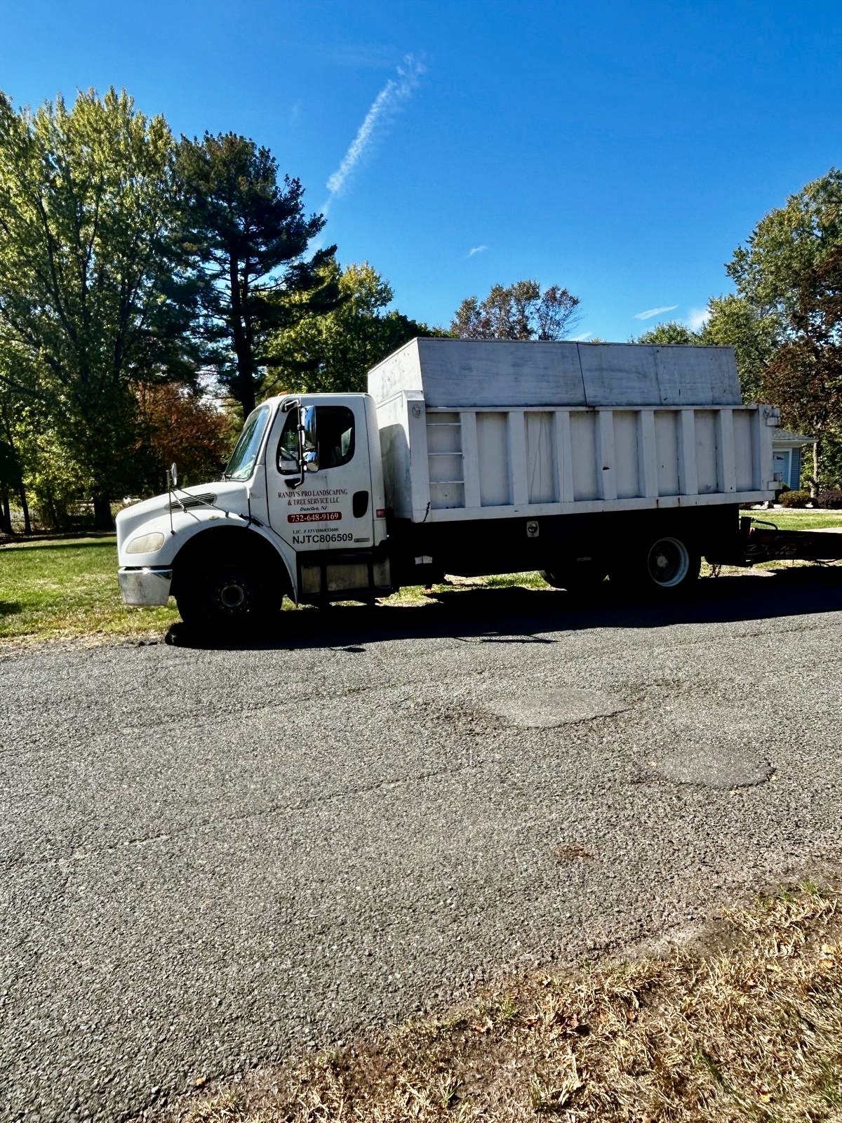 Tree Service Job in Martinsville