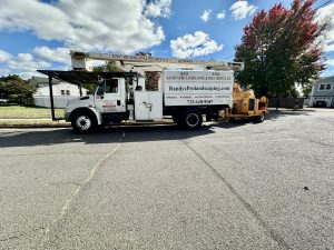 Tree Service Job in Middlesex