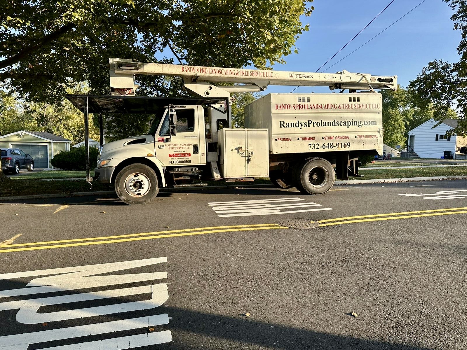 Tree Service Job in Piscataway