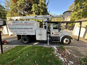 Tree Service Job in Warren