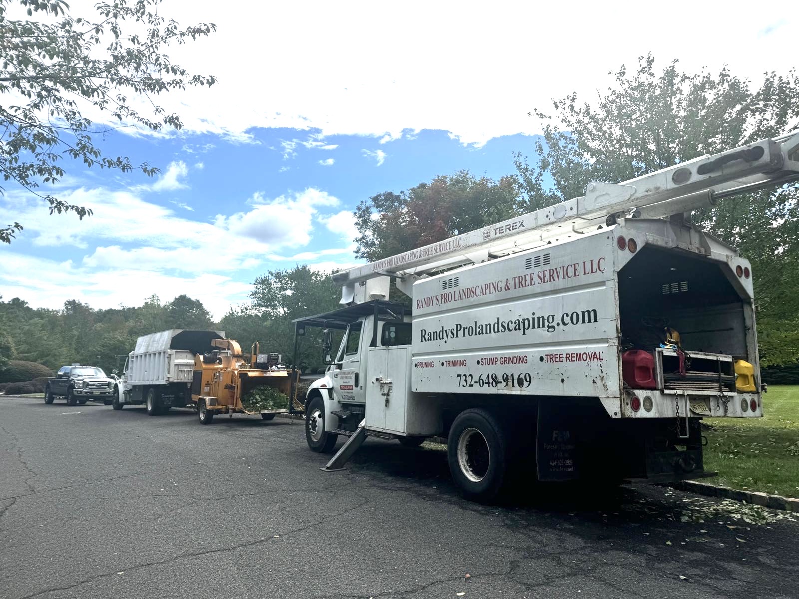 Tree Service Job in Warren