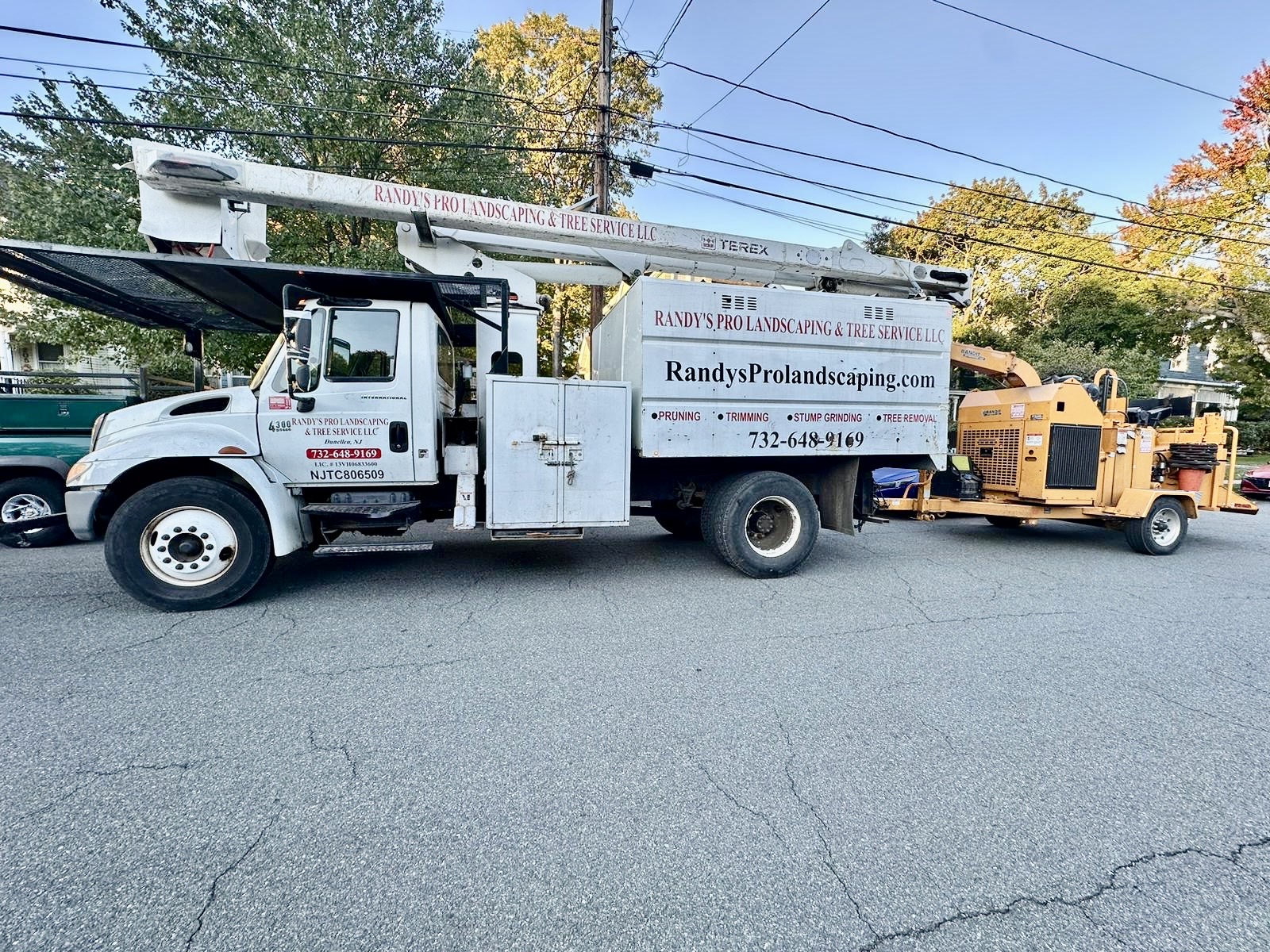 Tree Service Job in Westfield