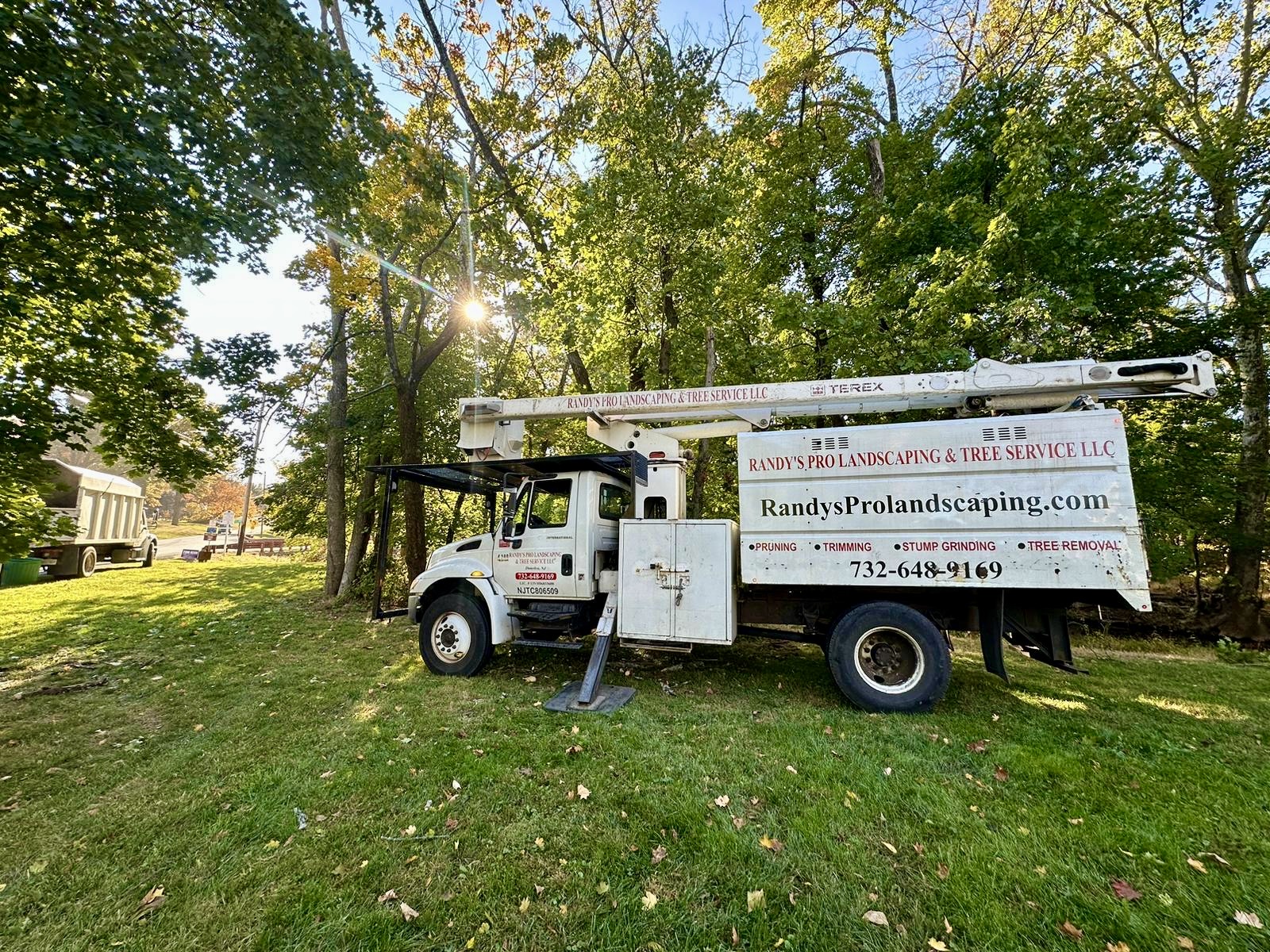 Tree Service Job in Whitehouse Station