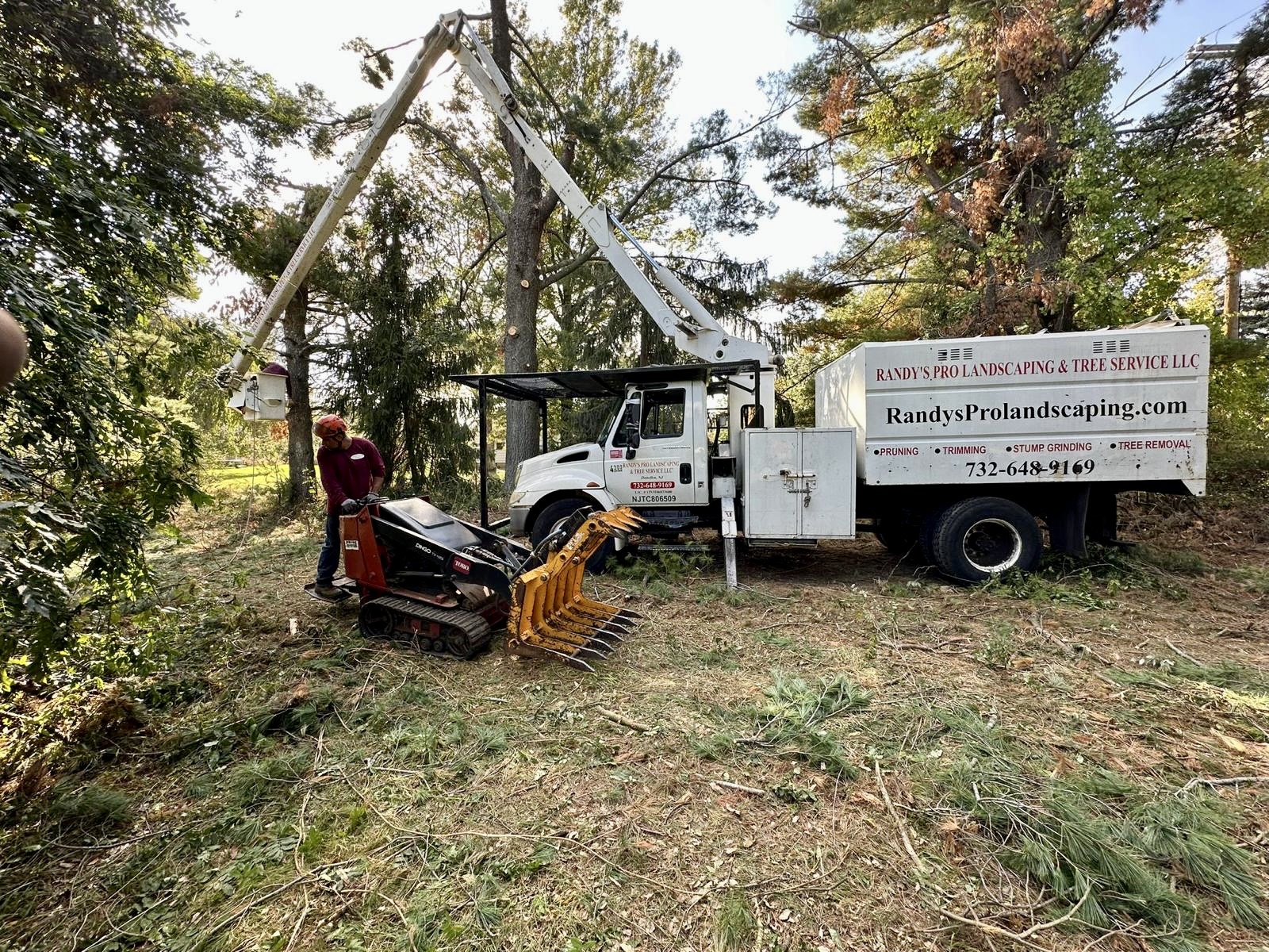 Tree Service Job in Whitehouse Station