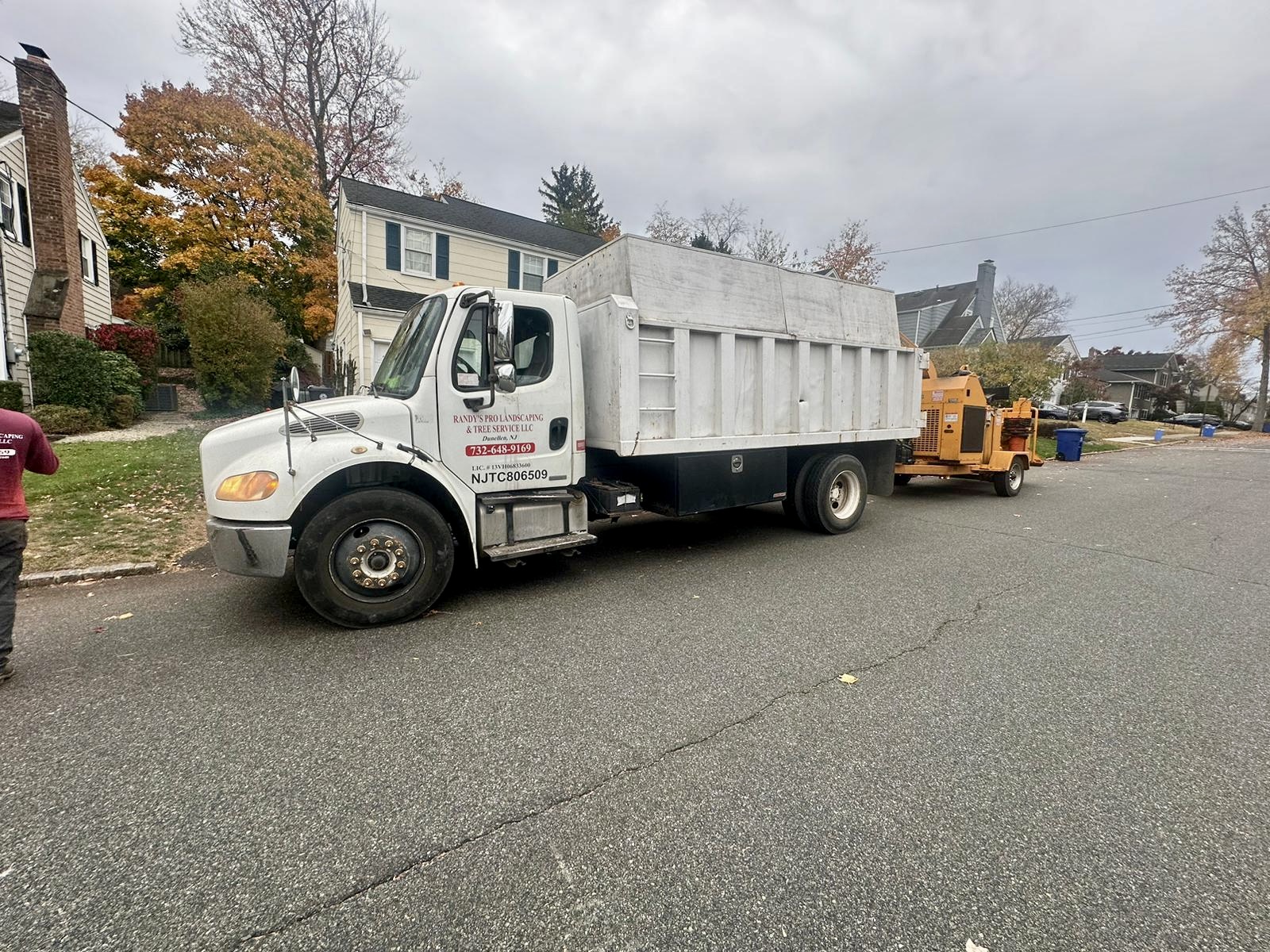 Tree Service Job in Chatham