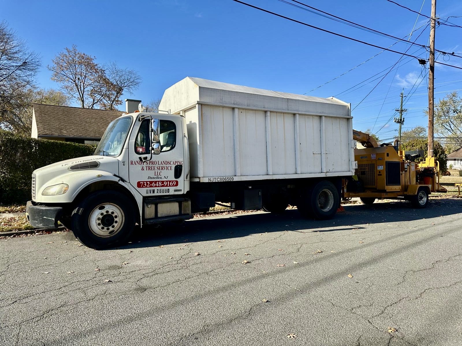 Tree Service Job in Edison