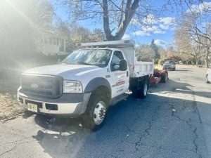 Tree Service Job in Mountainside